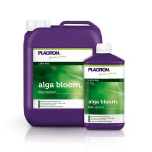 Alga bloom plagron