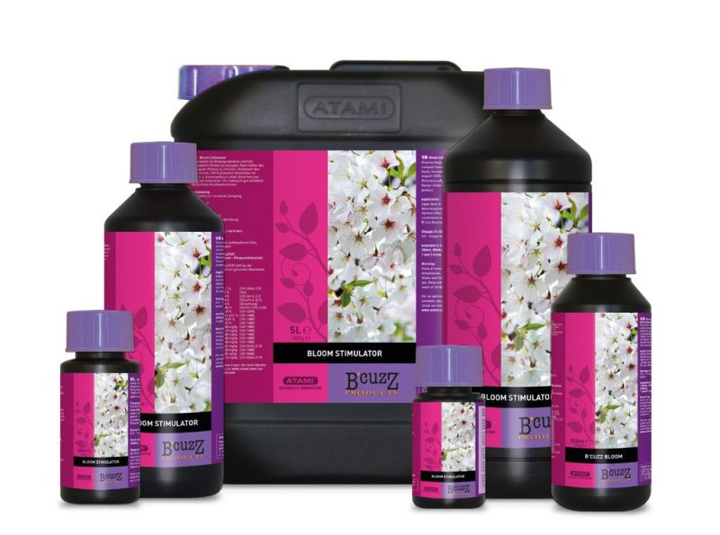 bcuzz bloom stim 1024x1024