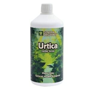 ghe urtica