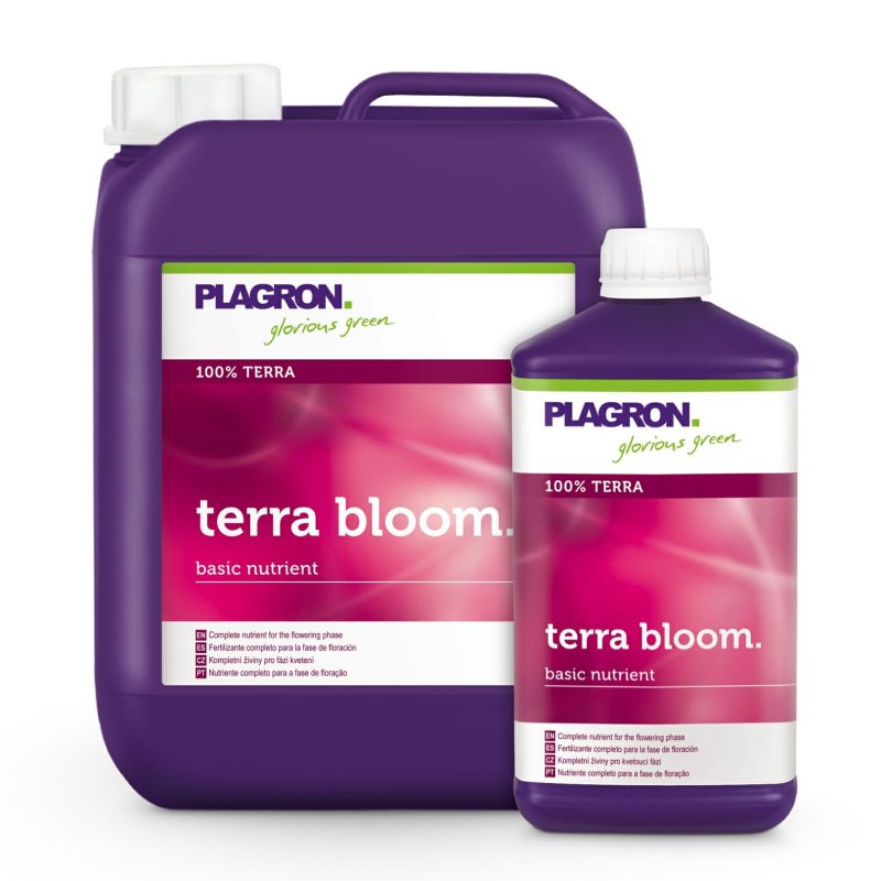 terra bloom large