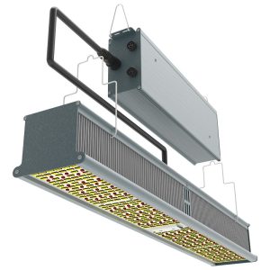 indoorled hps killer led bar 310w 1