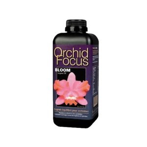 gwt orchid focus bloom 1l jpg