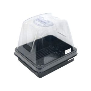 petite serre platinium 24 x 21 cm dometray cloner12 jpg