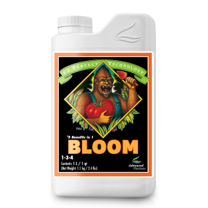 ph perfect bloom png