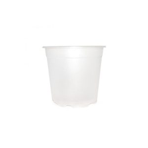 pot orchidee plastique crystal 15 cm jpg