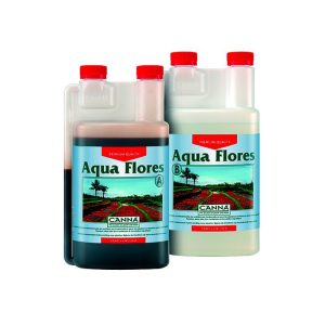 canna aqua flores ab 1ltr jpg